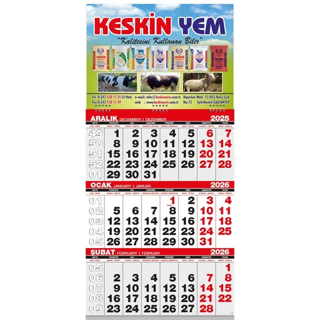 Ekonomik Küçük Boy Gemici Takvim - 31 x 63 cm