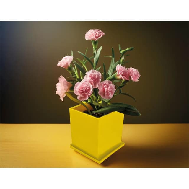 Kapaklı Bitki Dikim Seti - 7,6 x 7,6 x 8 cm