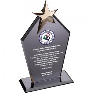 Kristal Plaket ( 12 x 21 cm )